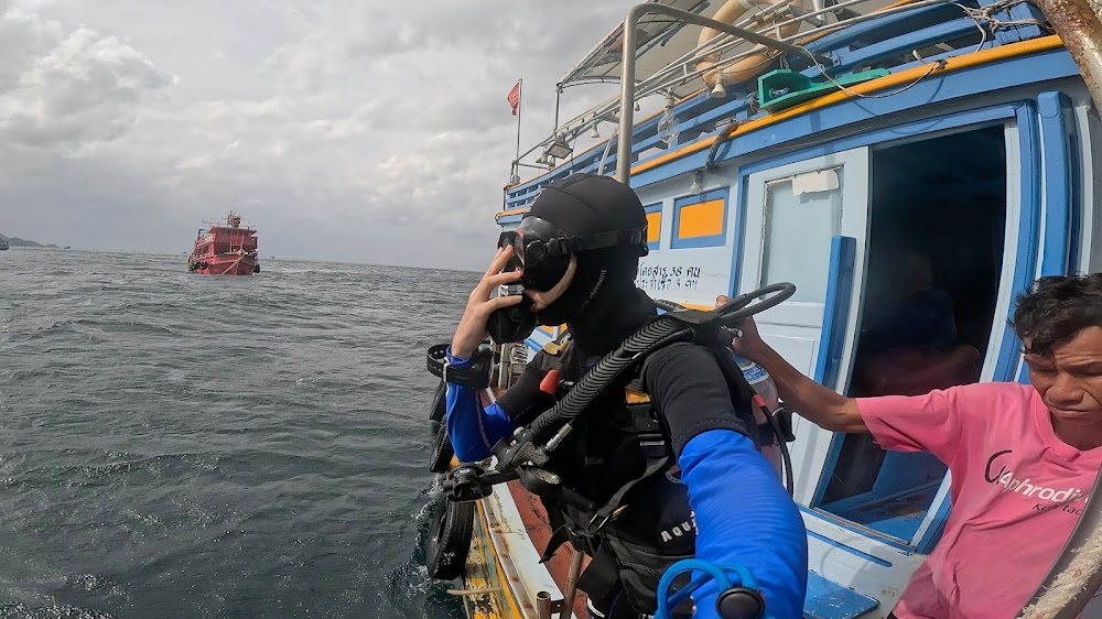 Aphrodive Koh Tao