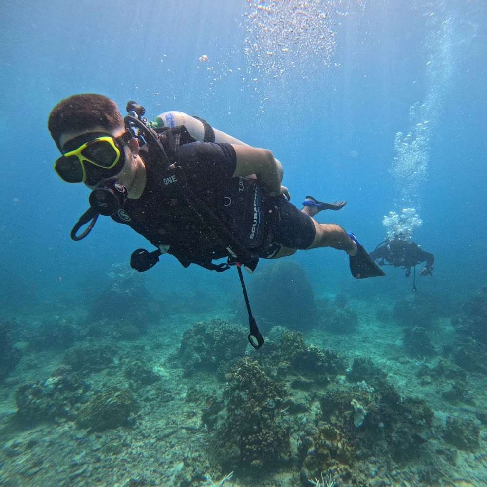 Aphrodive Koh Tao