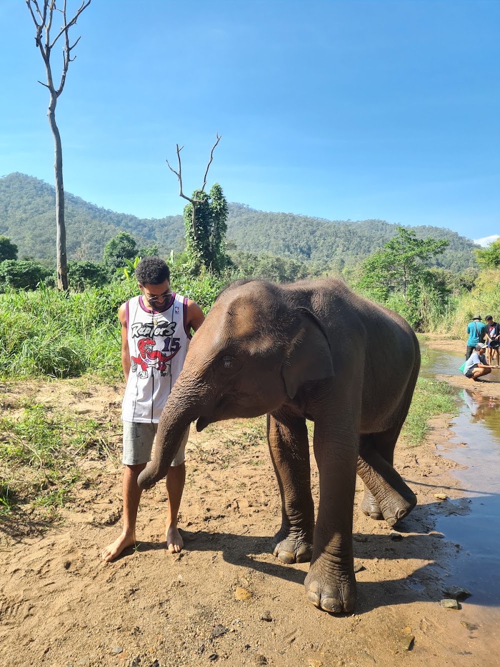 Asian Elephant Projects
