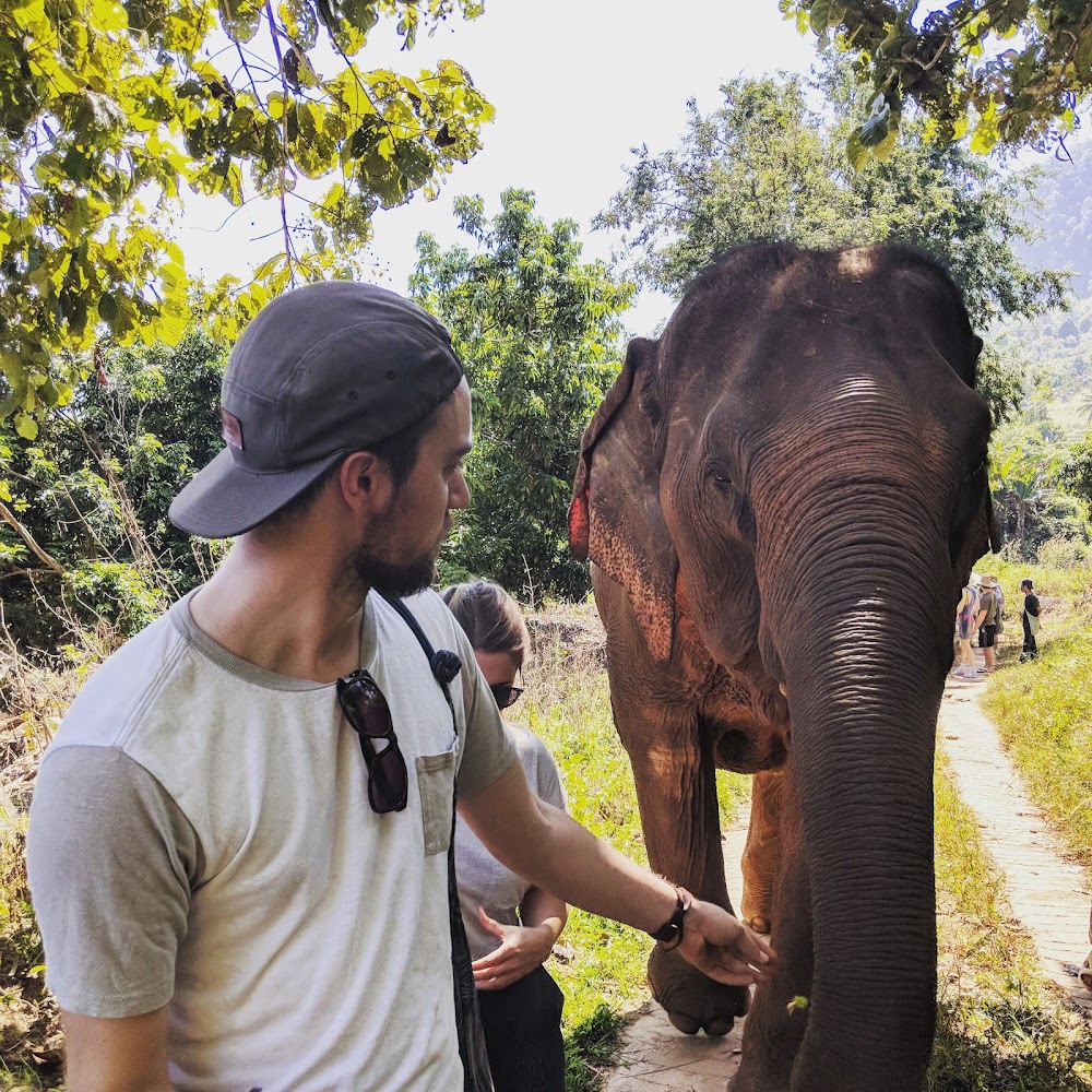 Asian Elephant Projects