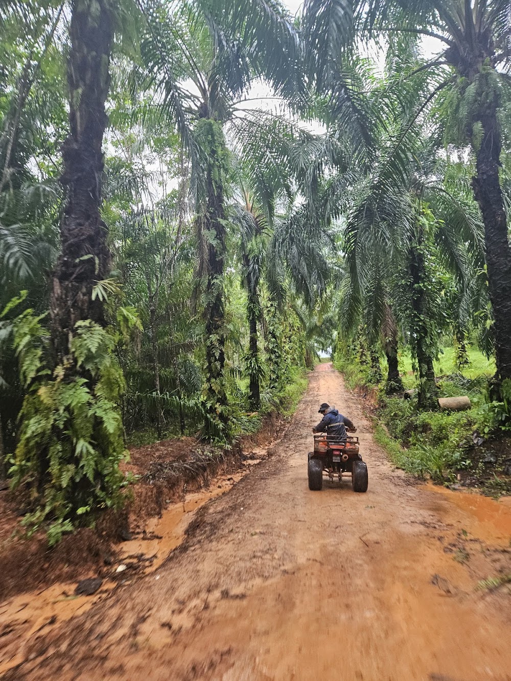ATV Nature View point