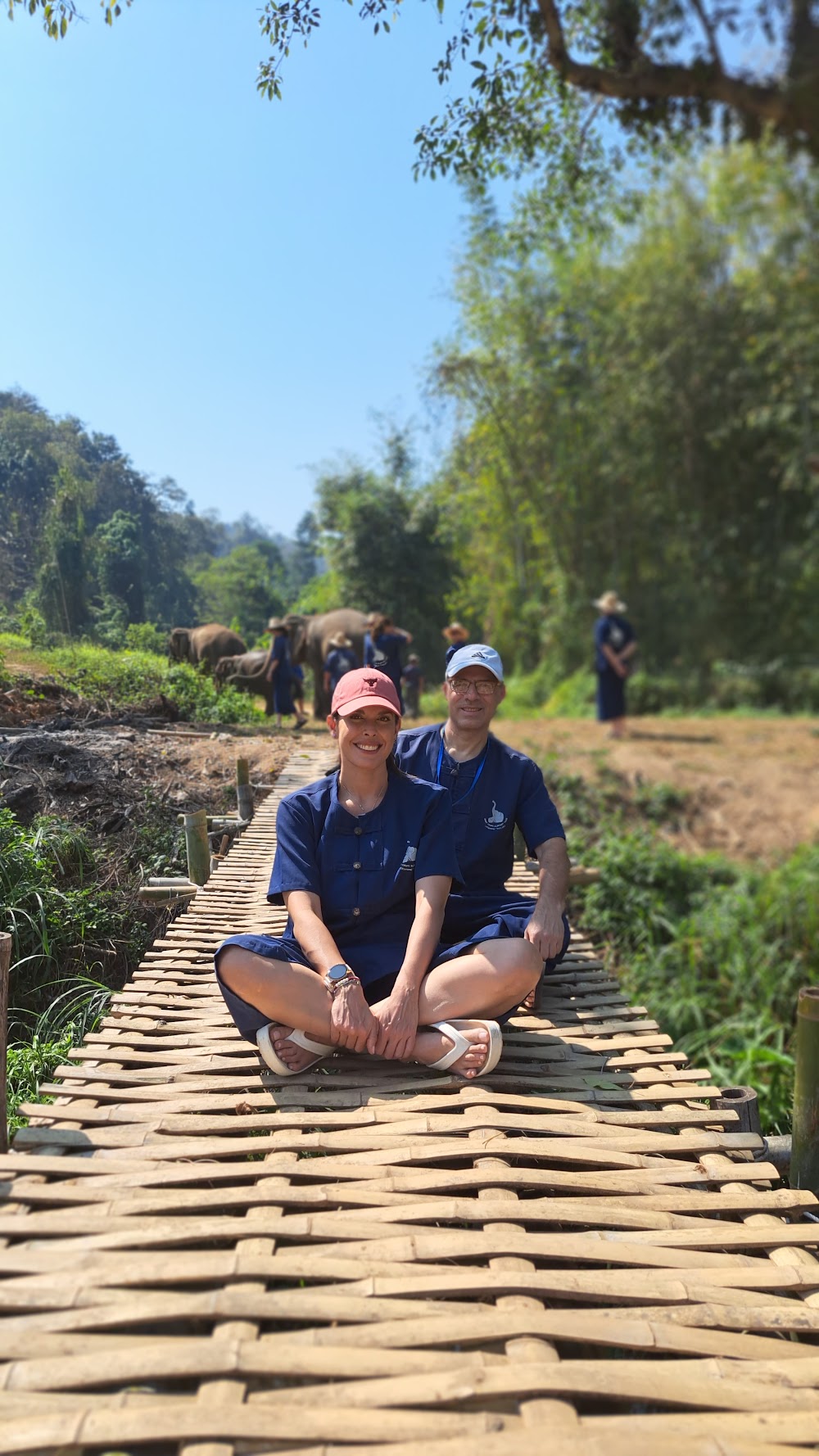 Baanchang Elephant Park