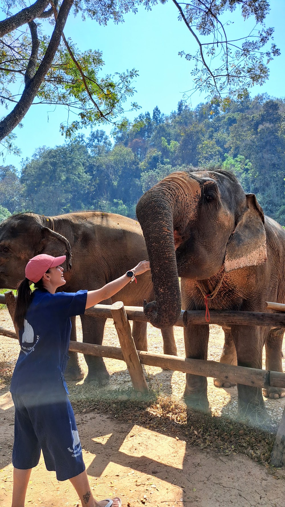 Baanchang Elephant Park