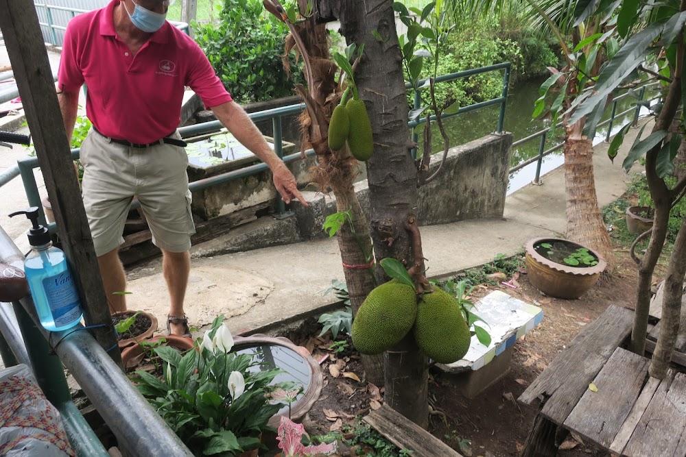 Bangkok By Bike