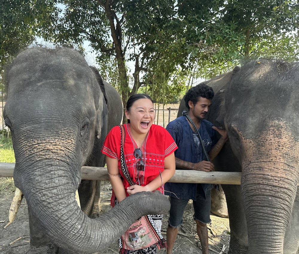 Bangkok Elephant Care Sanctuary