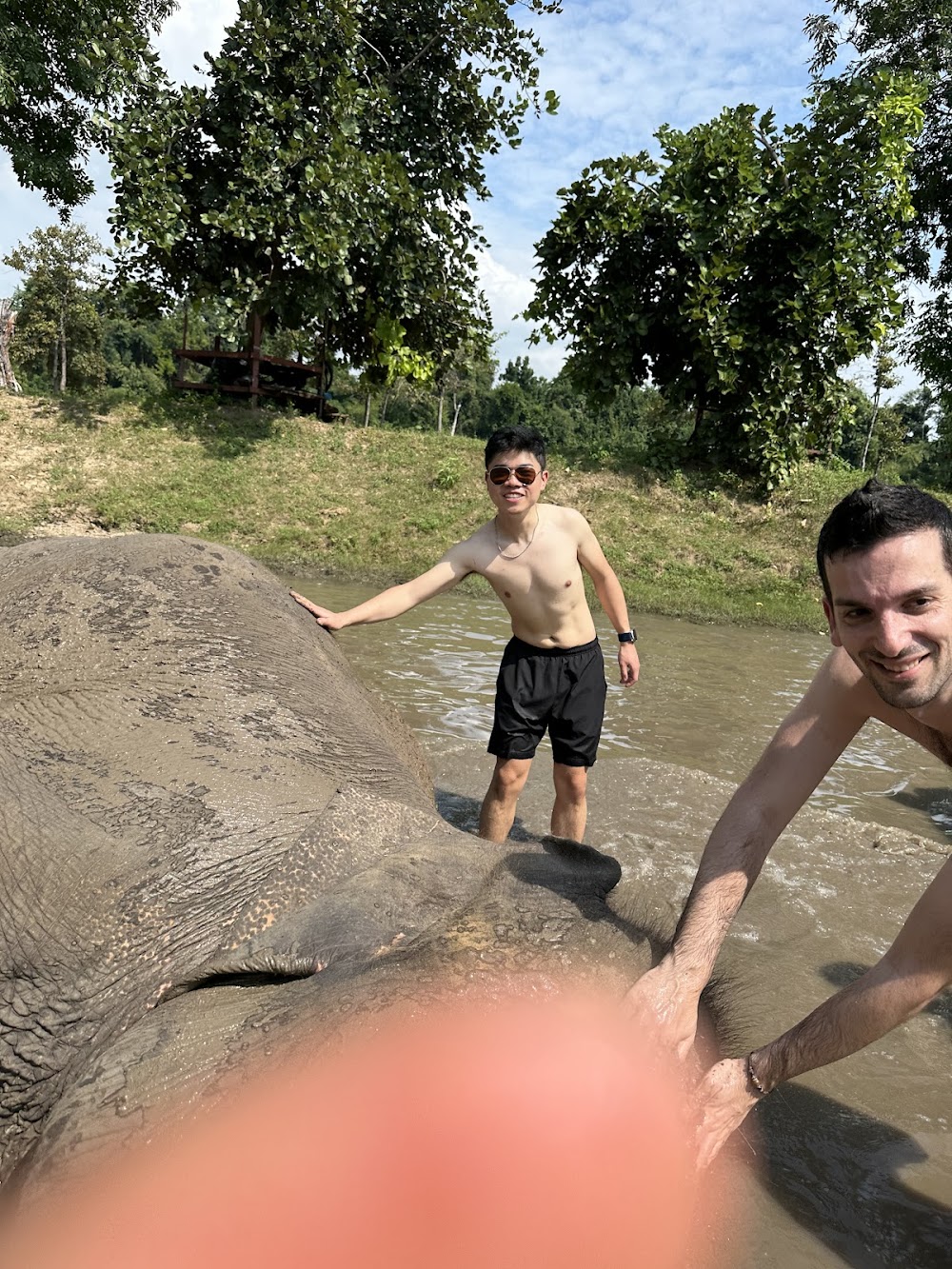 Bangkok Elephant Care Sanctuary