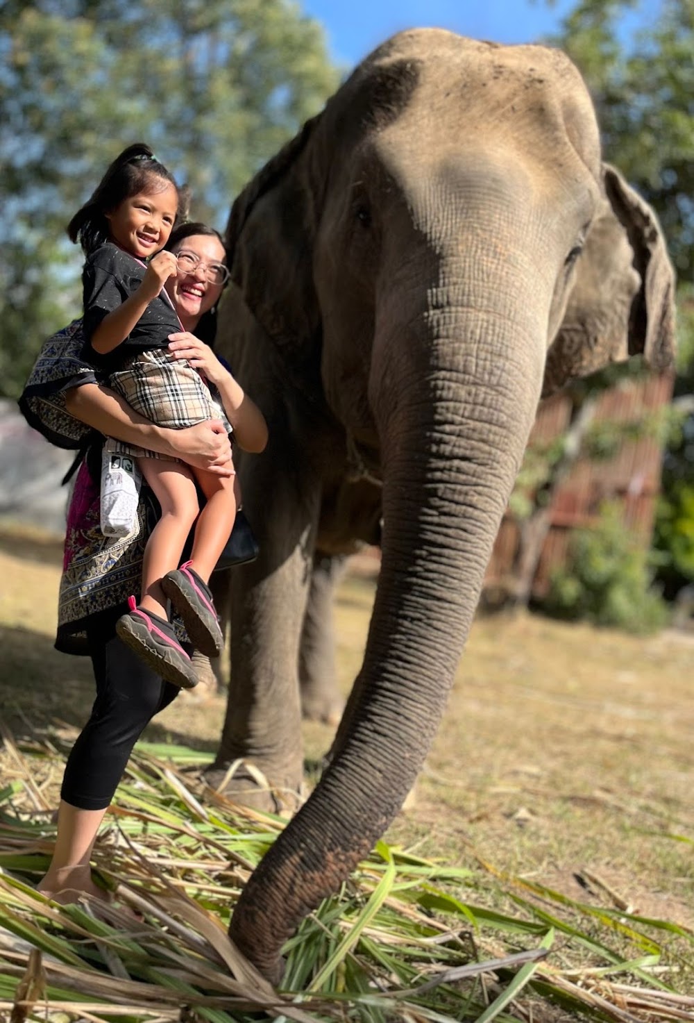 Bangkok Elephant Care Sanctuary