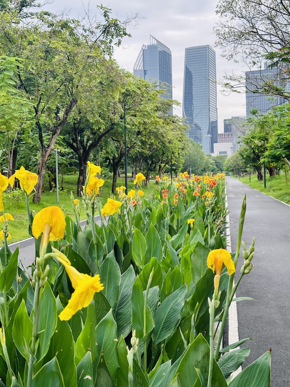 Benchakitti Park