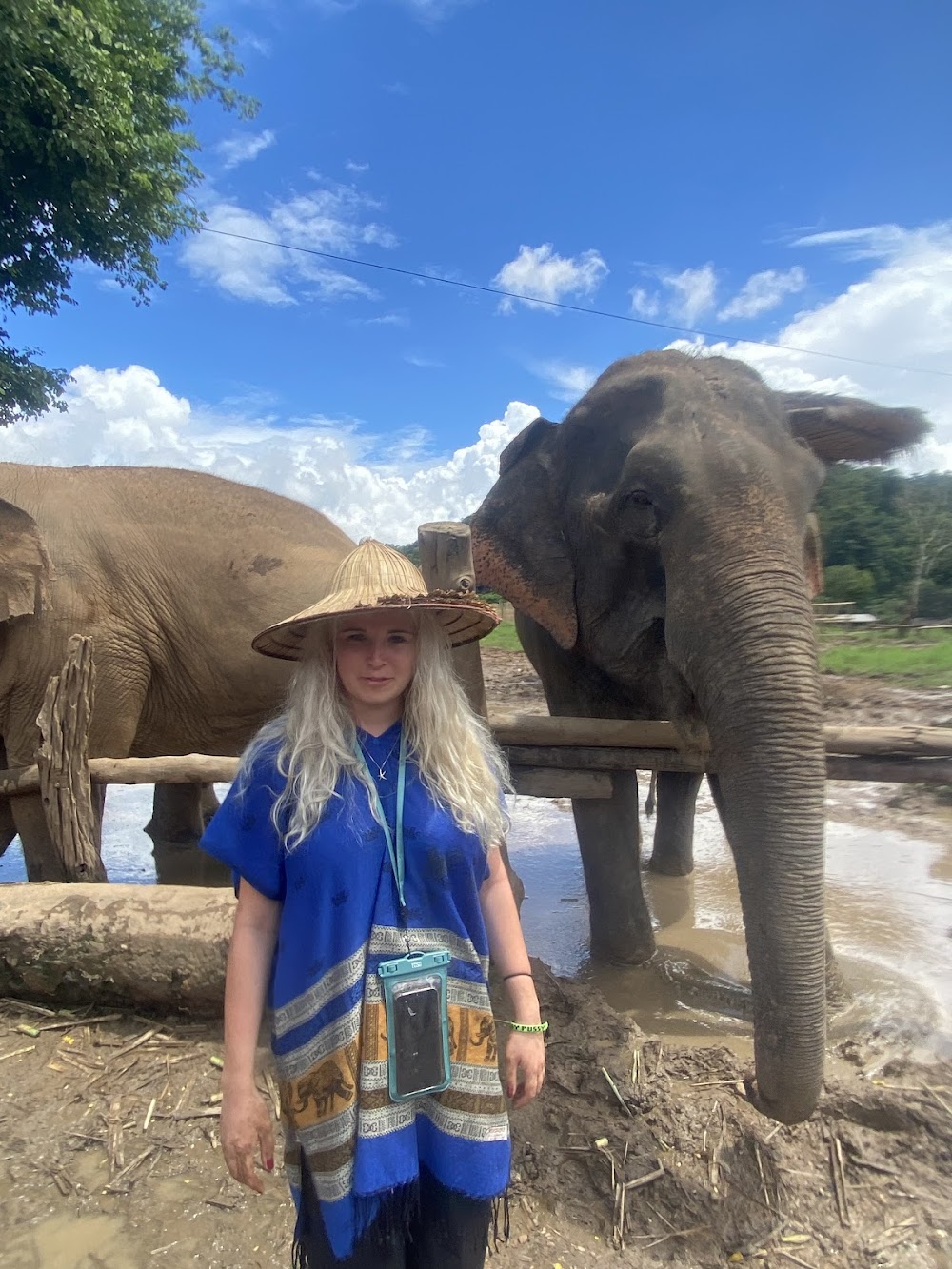 Bk Elephant Thailand