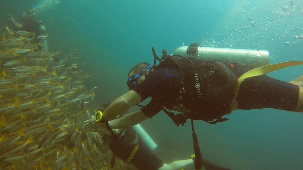Blacktip Scuba
