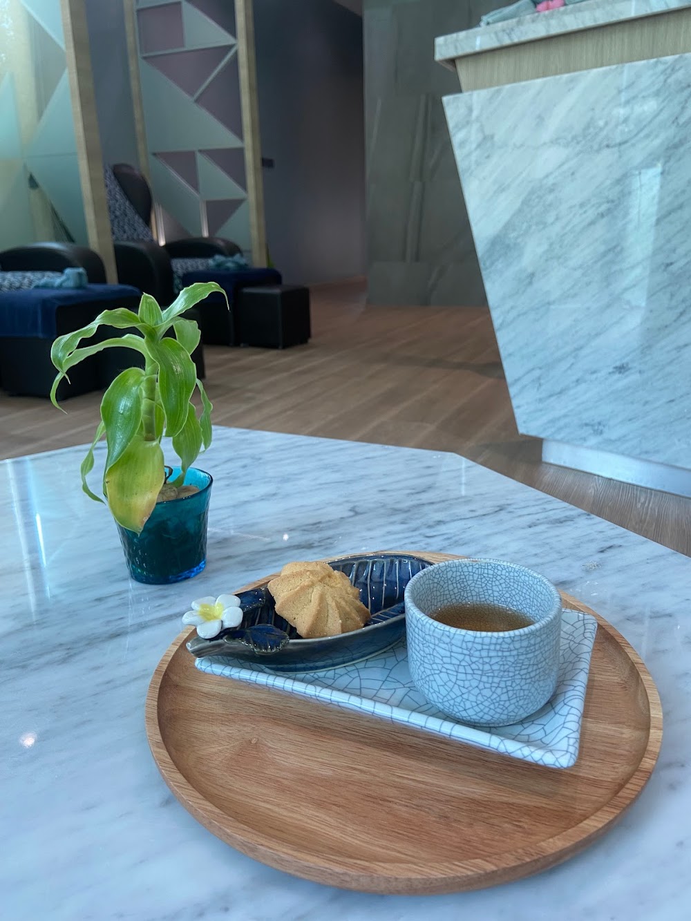 Blue Aster Spa