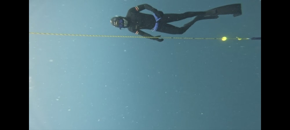 Blue Immersion Freediving