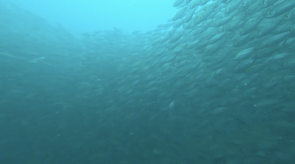 Buceo Tailandia