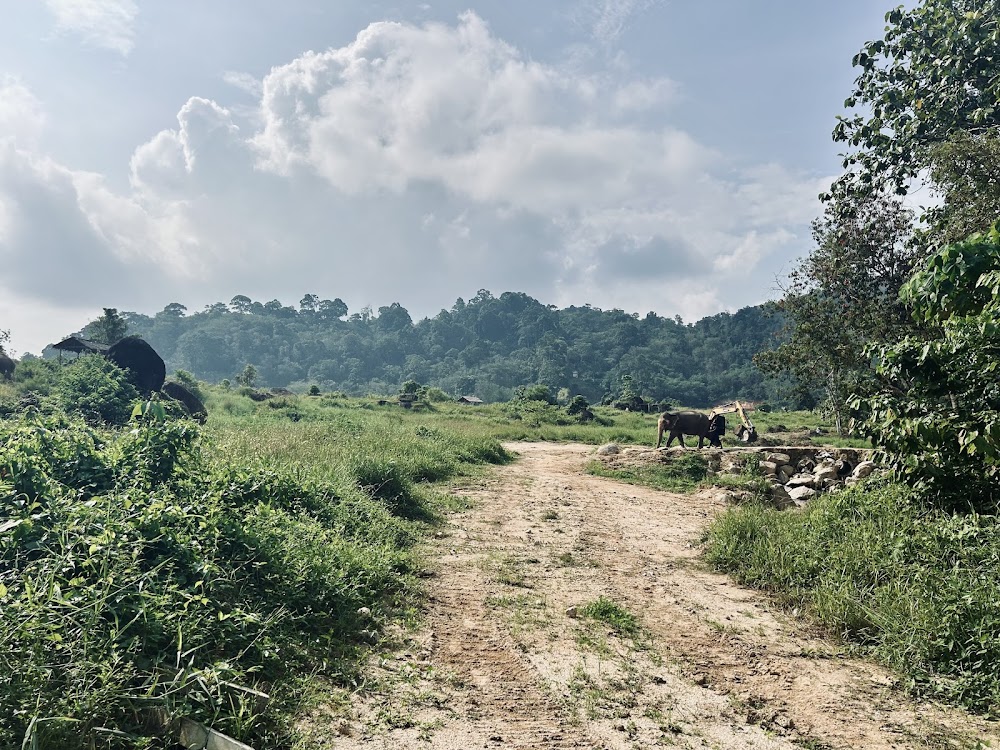 Bukit Elephant Park