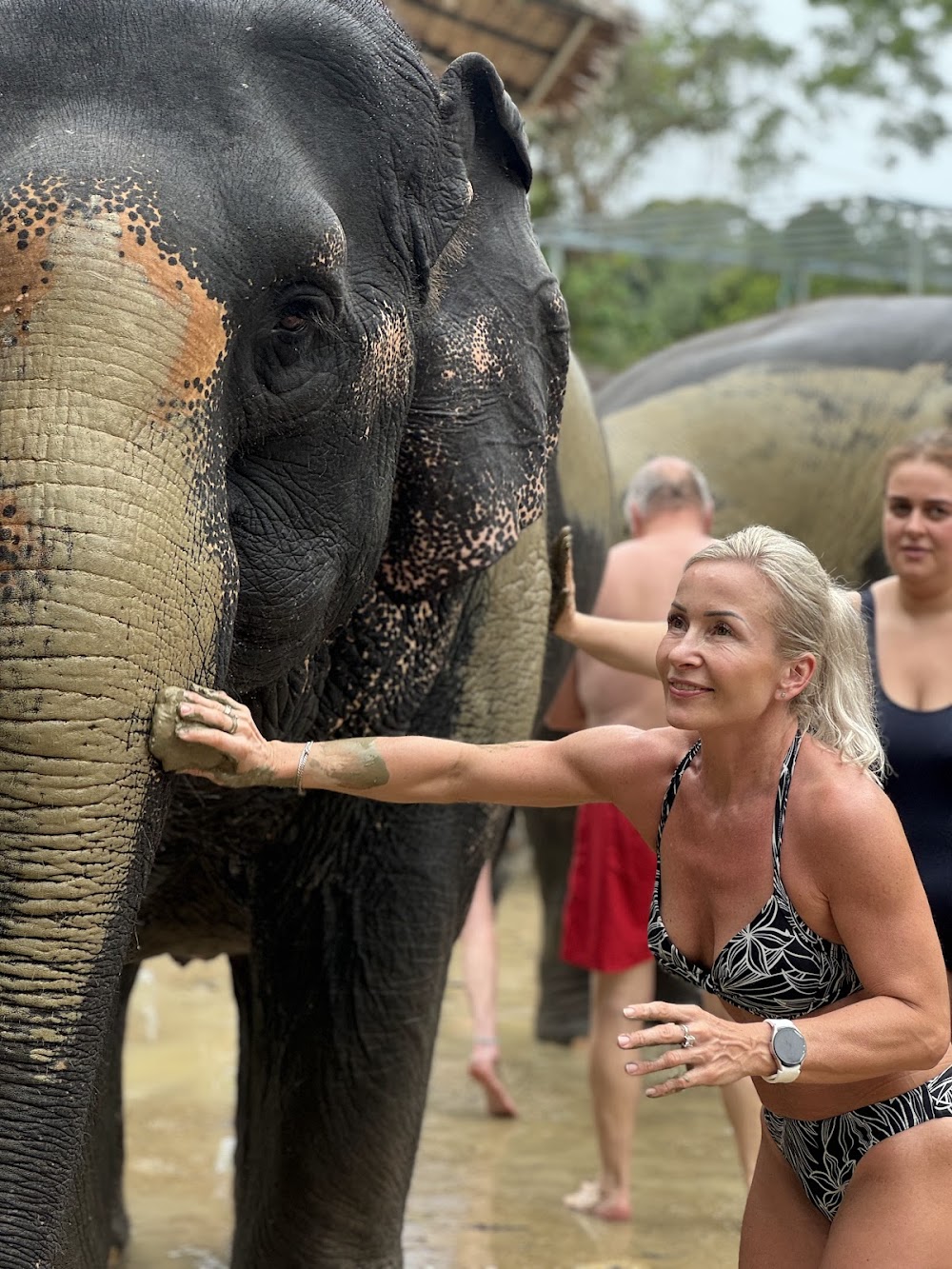 Care for Elephants