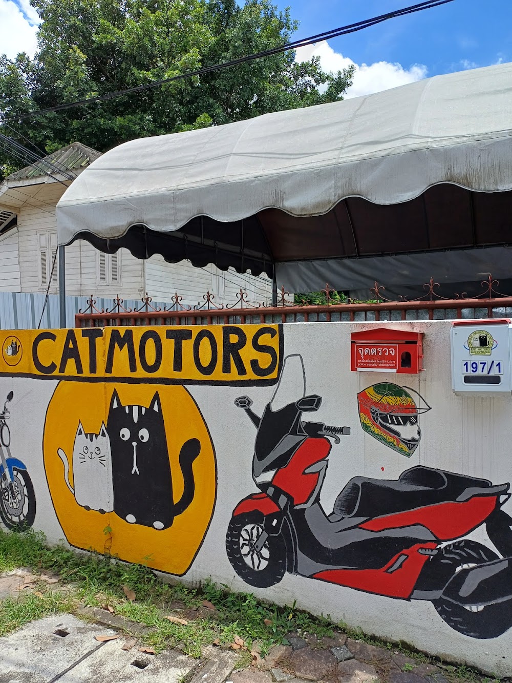 Cat Motors