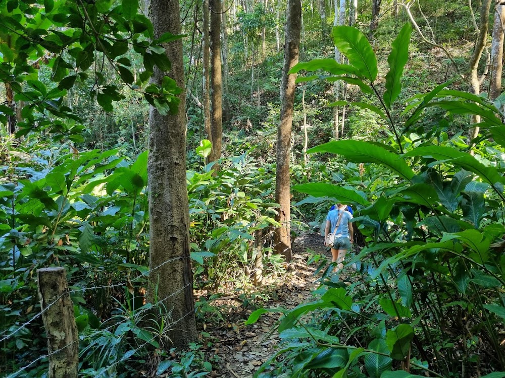 Chan Trekking Tour