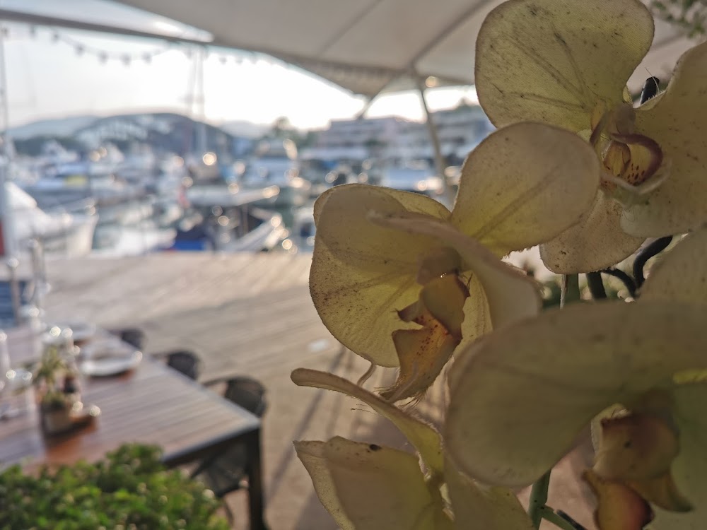 Charter Dock A