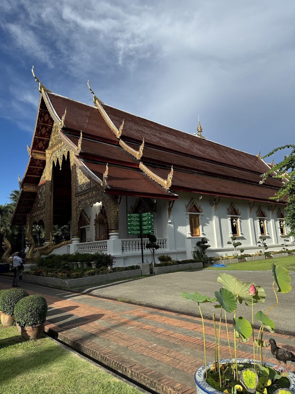 Chiang Mai Driver Guide