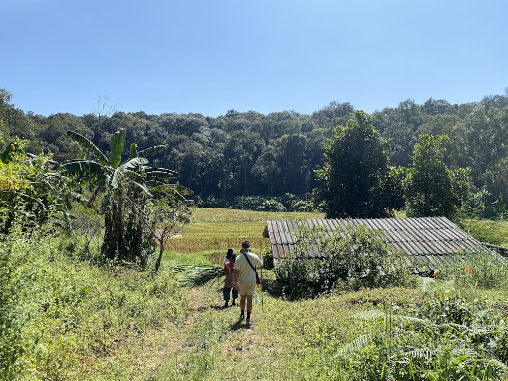 Chiang Mai Hill Tribe Coffee Tour