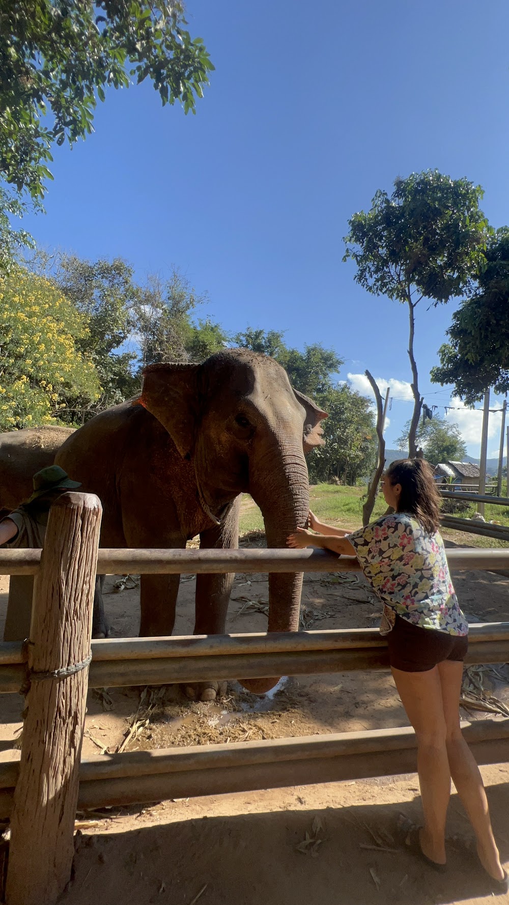 Chiang Mai Trekking with Maewin And Family