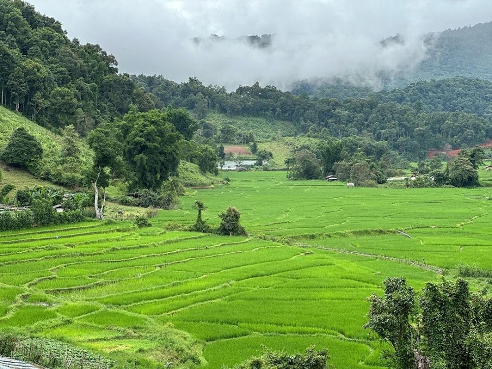 Chiang Mai Trekking with Maewin And Family