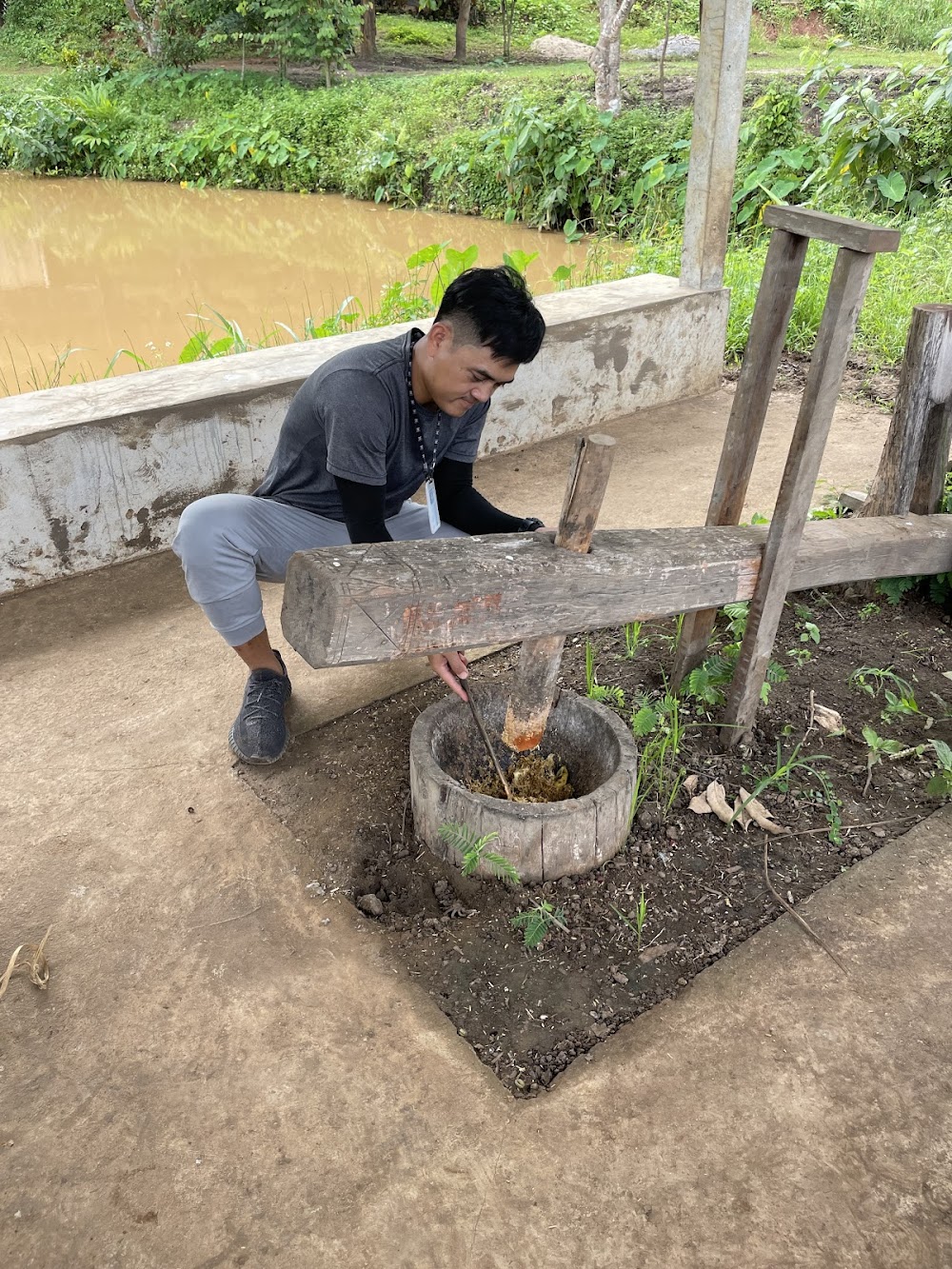 CHIANGMAI ELEPHANT CARE