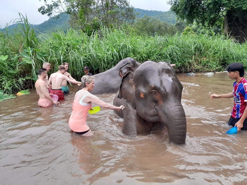 CHIANGMAI ELEPHANT CARE