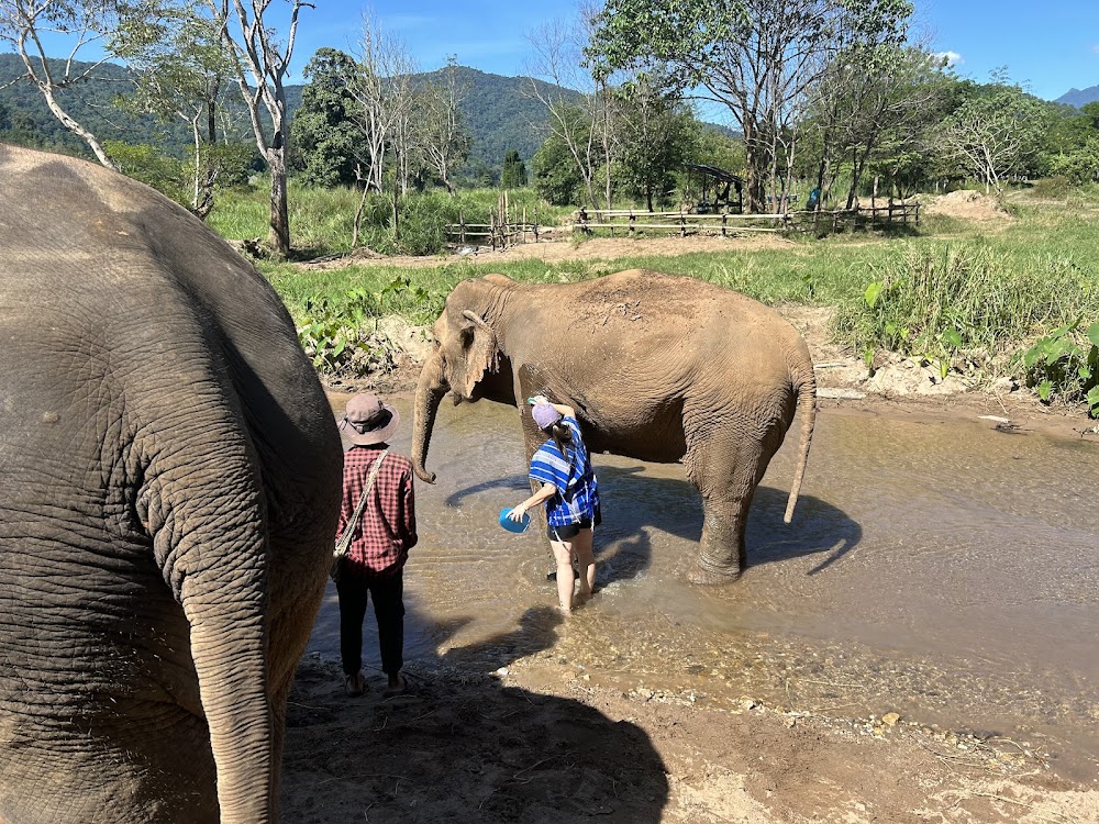 CHIANGMAI ELEPHANT CARE