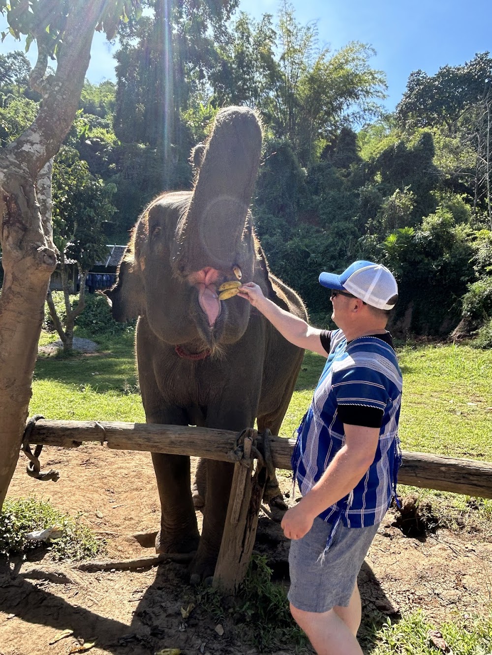 CHIANGMAI ELEPHANT CARE