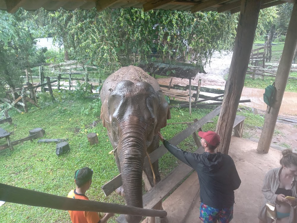 Chiangmai Jungle Trekking