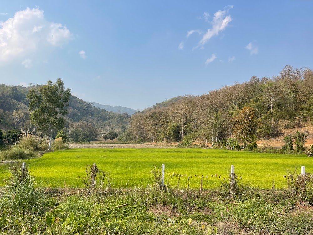 Chiangmai Private Tours