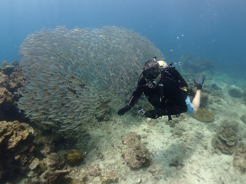 CrocoDive Phuket diving center
