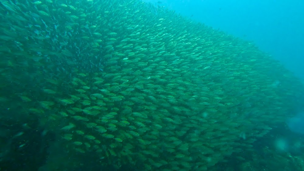 Deep Dive Center Thailand