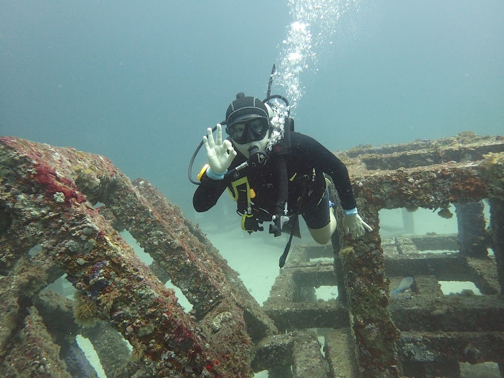 Dive Ranger