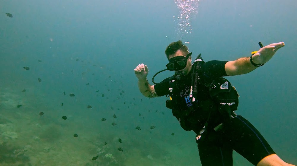 Diving Center Palich-Diving