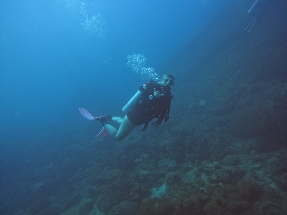 Diving Center Palich-Diving