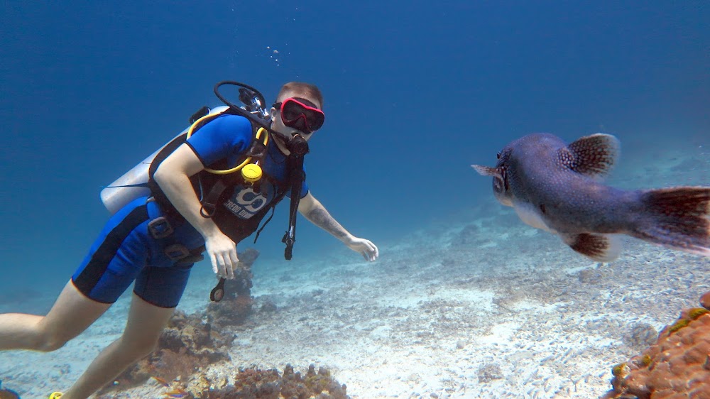 DivingAsia ru