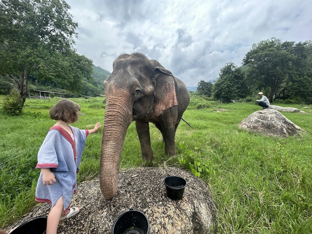 Doi Lom Elephant Rescue Sanctuary