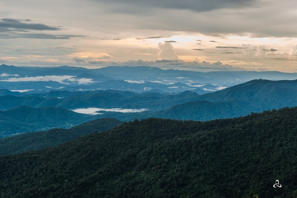 Doi Pui View Point