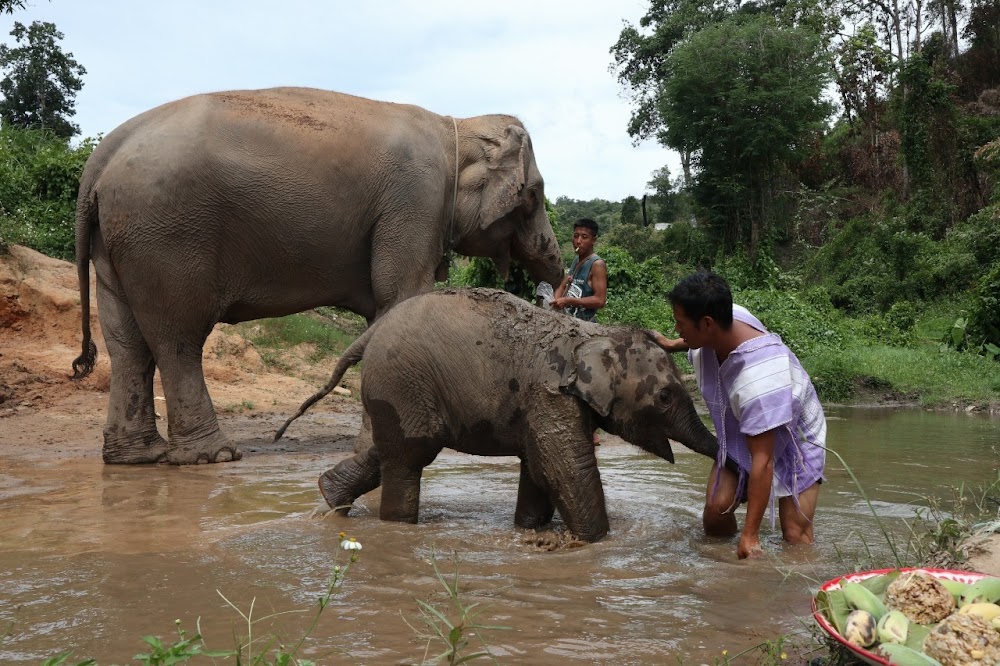 Eco Tours Chiang Mai