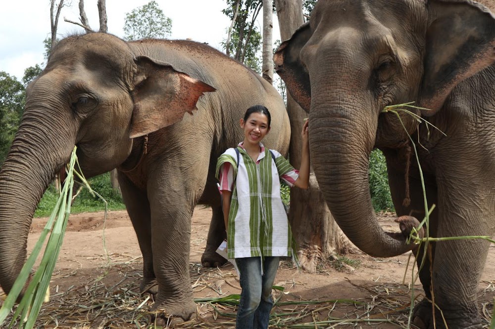 Eco Tours Chiang Mai