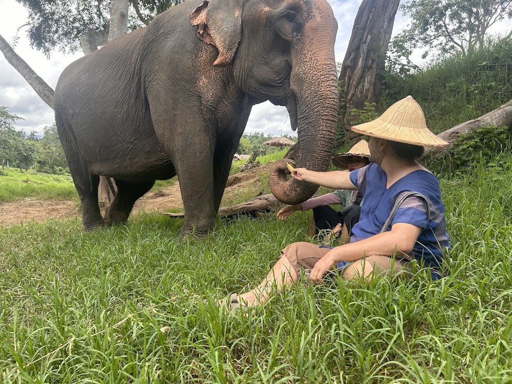 Elephant Carer Home