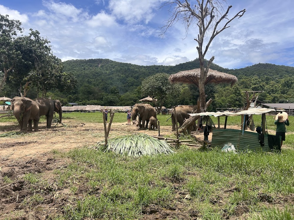 Elephant Carer Home
