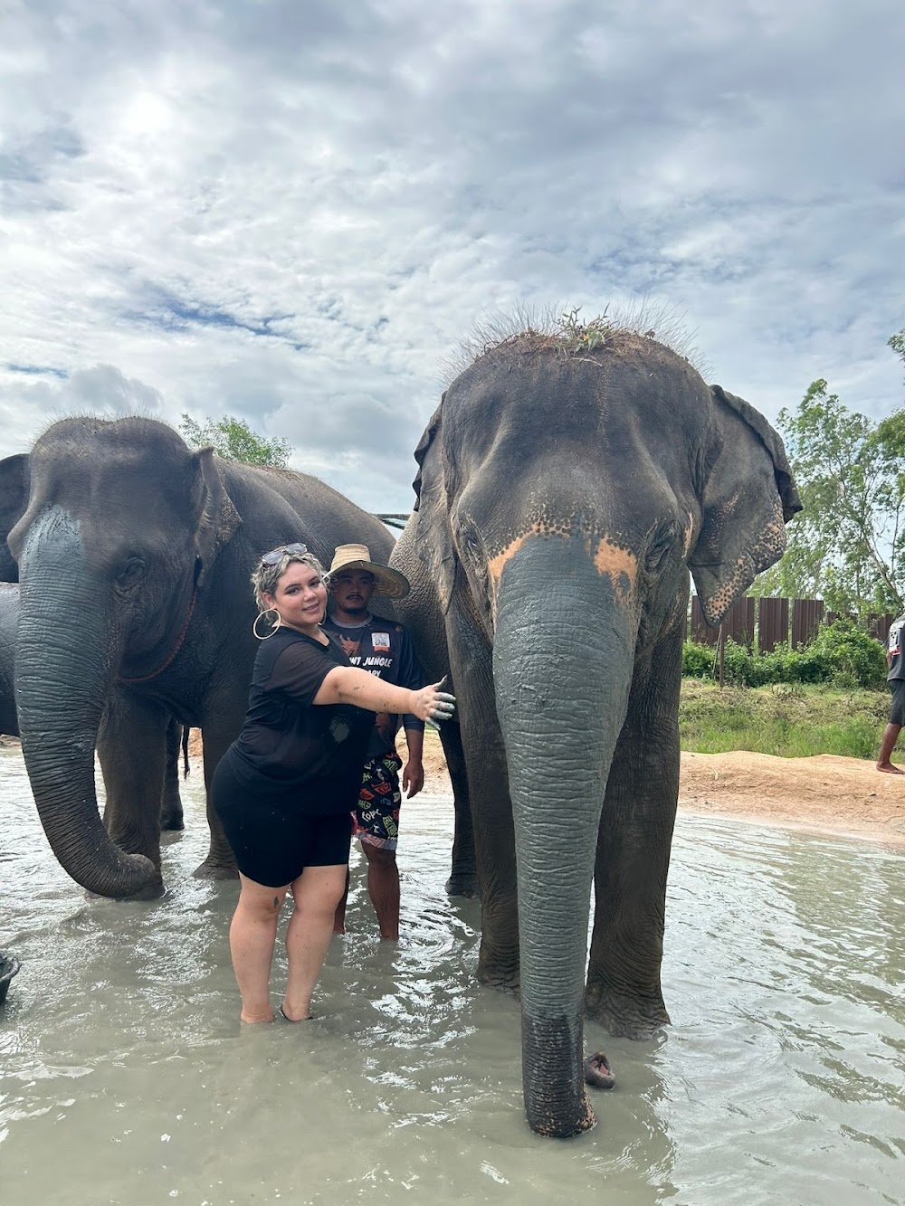 Elephant Jungle Sanctuary Pattaya