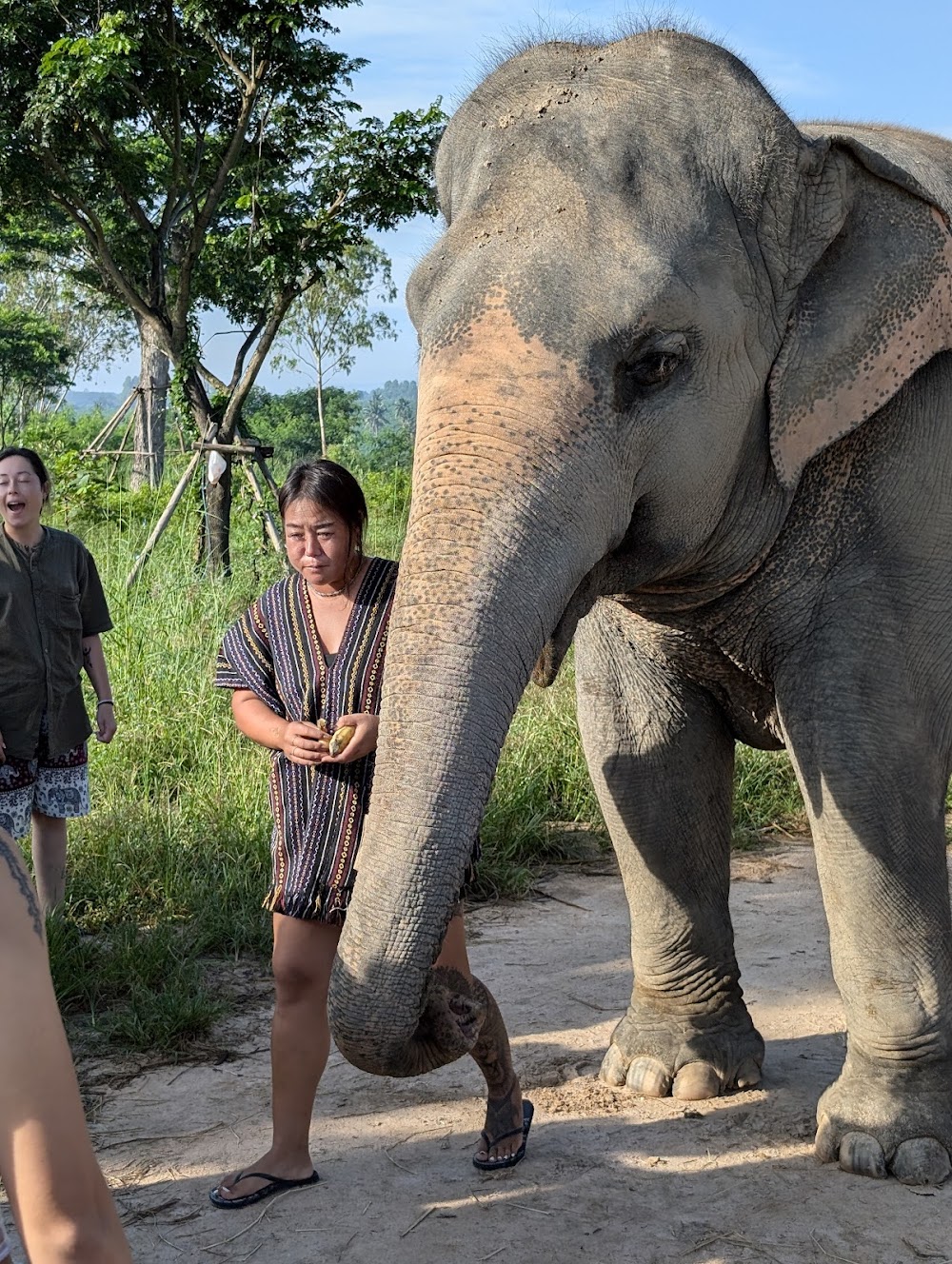 Elephant Jungle Sanctuary Pattaya