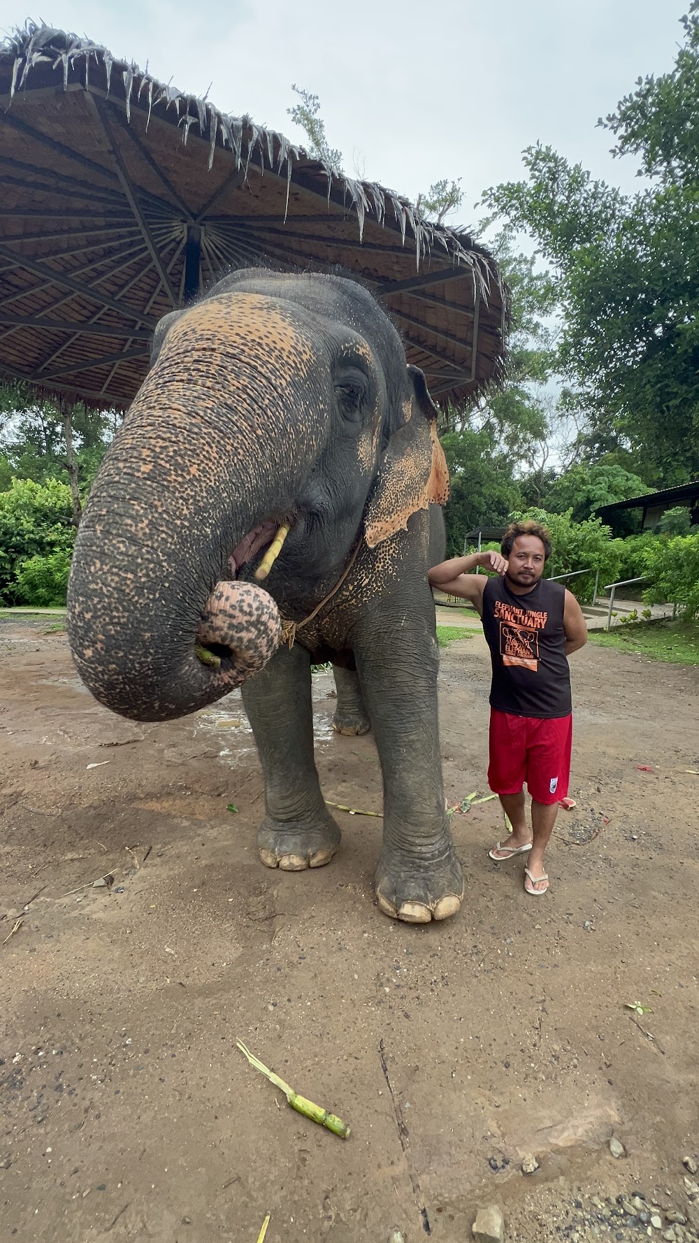 Elephant Jungle Sanctuary Phuket