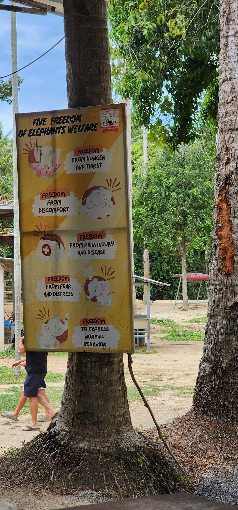 Elephant Jungle Sanctuary Samui