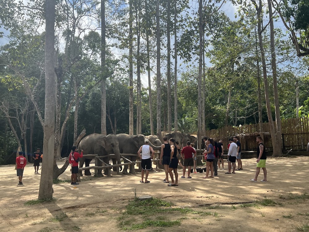 Elephant Jungle Sanctuary Samui