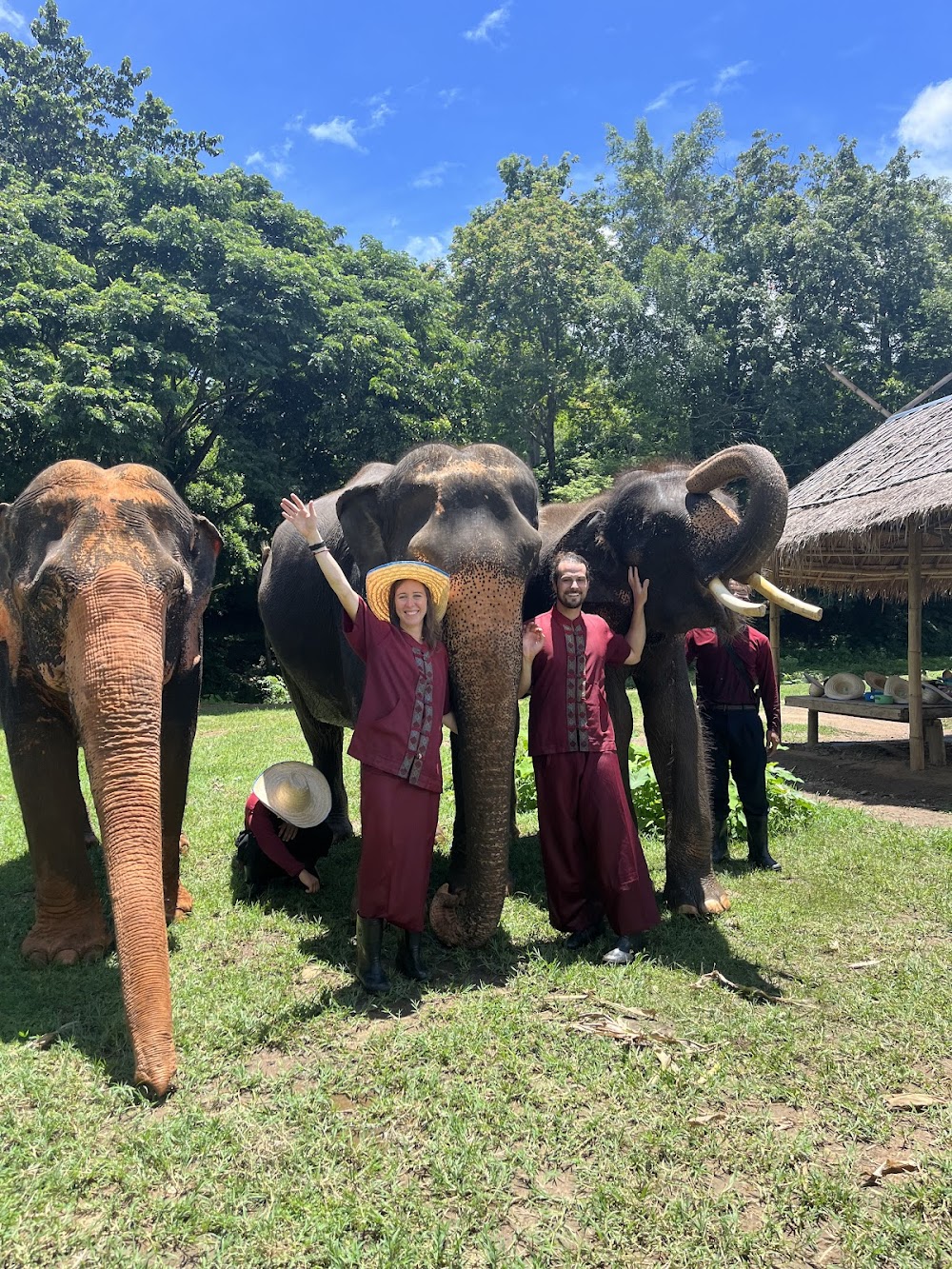 Elephant Rescue Park